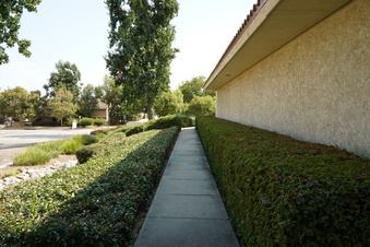 Enlarge photo 85