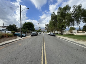 Enlarge photo 103