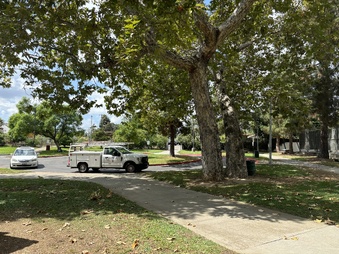 Enlarge photo 24