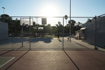 Enlarge photo 37