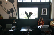Enlarge photo 44