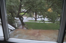 Enlarge photo 51