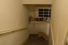Enlarge photo 35