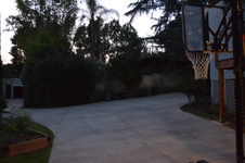 Enlarge photo 45