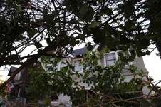 Enlarge photo 10