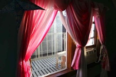 Enlarge photo 96
