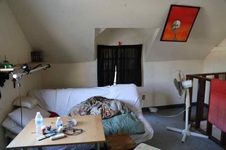 Enlarge photo 115