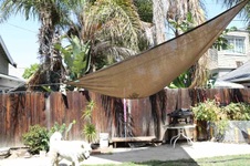 Enlarge photo 111