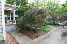 Enlarge photo 32