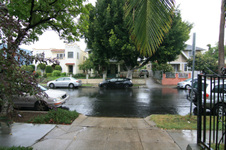 Enlarge photo 57