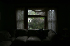 Enlarge photo 79