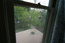 Enlarge photo 133