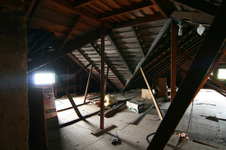 Enlarge photo 135