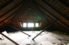 Enlarge photo 137