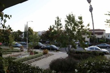 Enlarge photo 22
