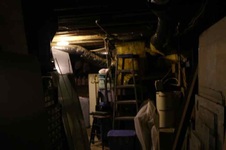 Enlarge photo 93