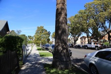 Enlarge photo 13
