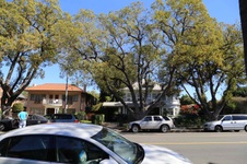 Enlarge photo 14