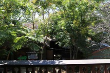 Enlarge photo 68