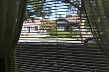 Enlarge photo 38