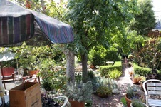 Enlarge photo 59