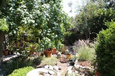 Enlarge photo 61