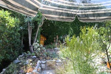 Enlarge photo 62