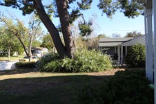 Enlarge photo 16