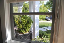 Enlarge photo 31