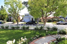Enlarge photo 26