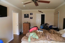 Enlarge photo 40