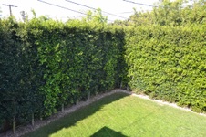 Enlarge photo 60