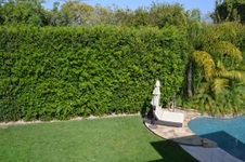 Enlarge photo 61