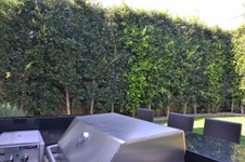 Enlarge photo 63