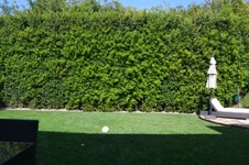 Enlarge photo 64