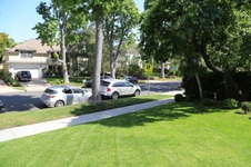 Enlarge photo 21