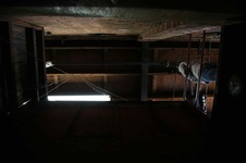Enlarge photo 48