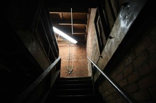 Enlarge photo 54