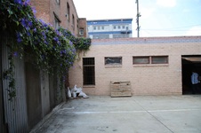 Enlarge photo 128