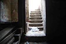 Enlarge photo 137