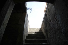 Enlarge photo 142
