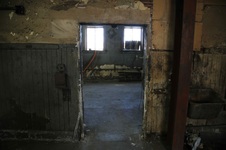 Enlarge photo 164