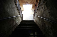 Enlarge photo 172