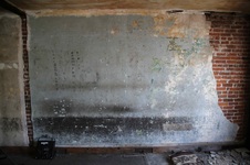 Enlarge photo 183