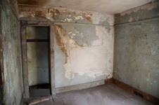 Enlarge photo 186