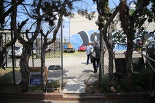 Enlarge photo 238
