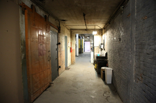 Enlarge photo 75