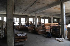 Enlarge photo 53