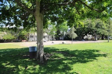 Enlarge photo 14