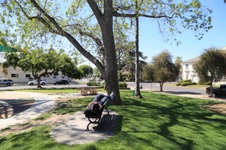 Enlarge photo 21